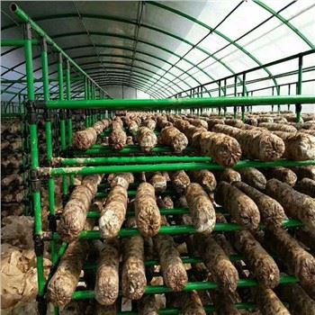 Talmhaíocht Teach Glas Muisiriún Il-Span