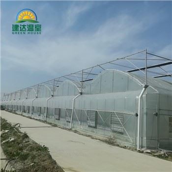 Leitís Glasraí Cheaptha Teasa Le Hydroponic