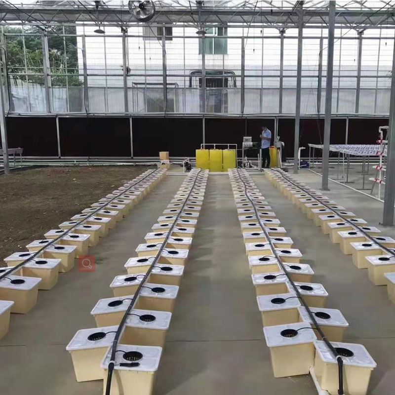 Hydroponics Buicéad Ollainnis Do Cheaptha Teasa Trátaí