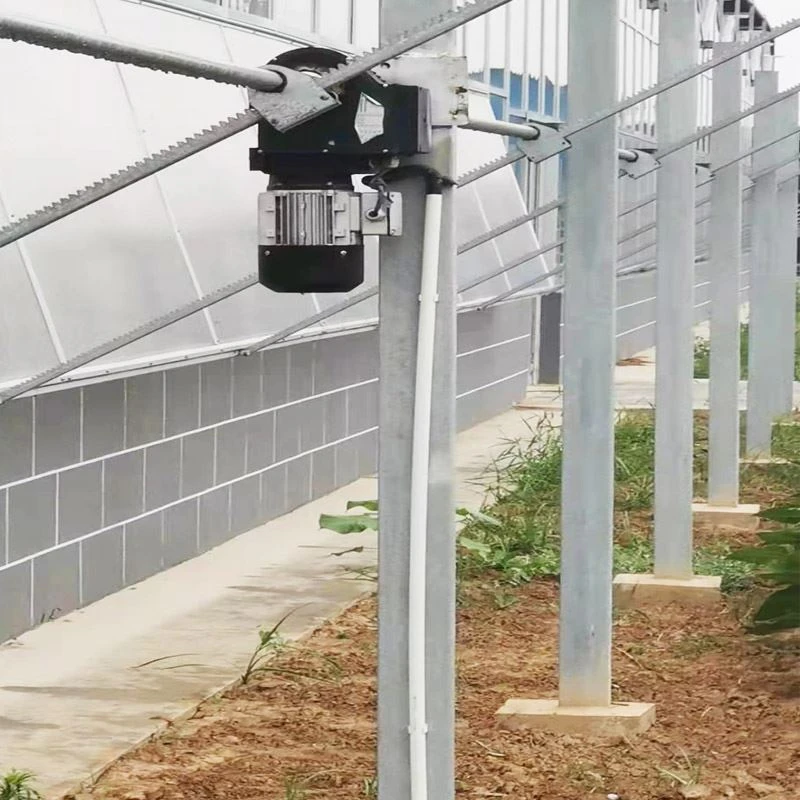 Greenhouse Ventilation System For Water Pad