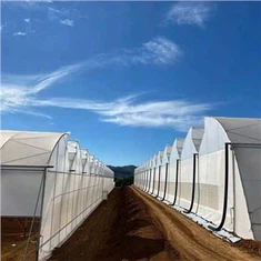 Córais Hydroponic Cheaptha Teasa