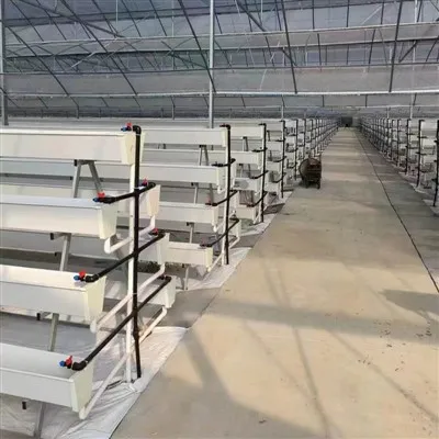 Gutter Plandála Fráma