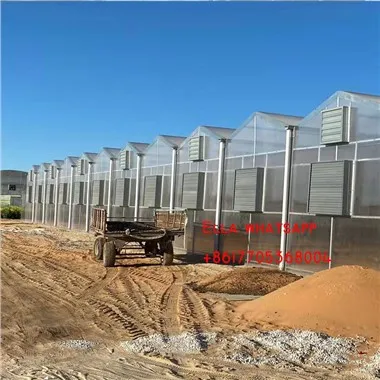 Tithe Glasa PC PolyCarbonate