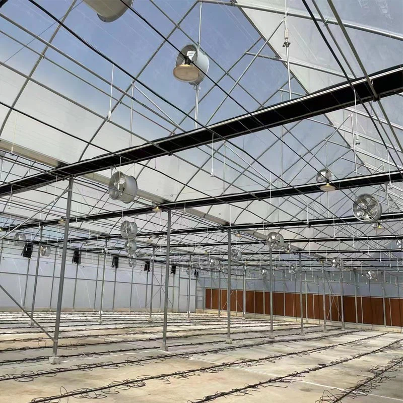 circulation fan for greenhouse circulation fan for greenhouse